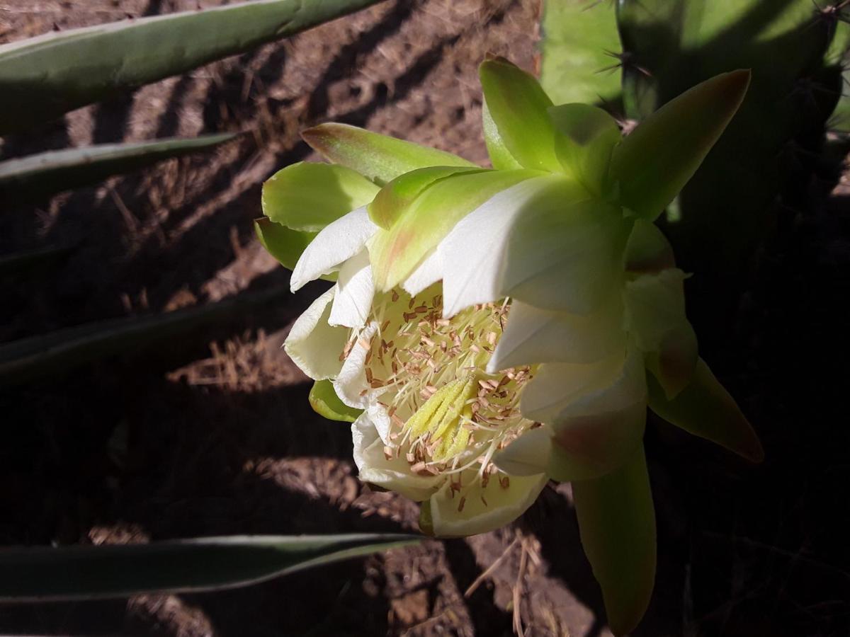 Suduweli Beauties Of Nature - Yala 키린다 외부 사진
